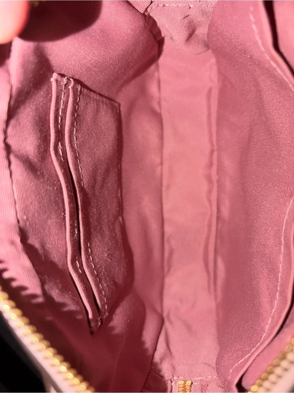COACH Pink Butterfly Print Camera Crossbody